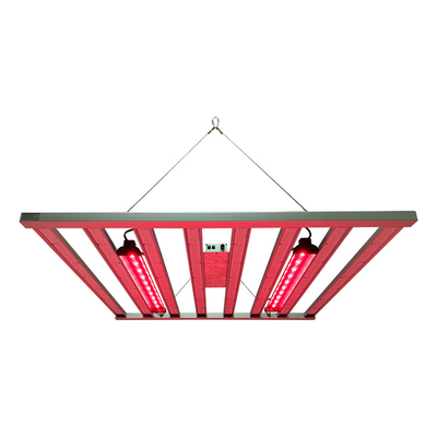 800W 8 thanh Samsung LM281B Đèn LED toàn phổ cho hệ thống thủy canh 4x4 ft trong nhà