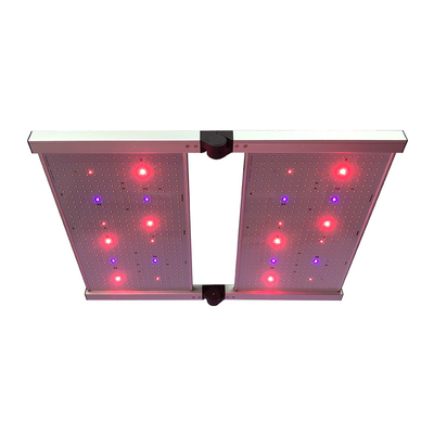 Đèn LED phát triển bảng lượng tử RedFarm 480W 3500K Samsung LM301H