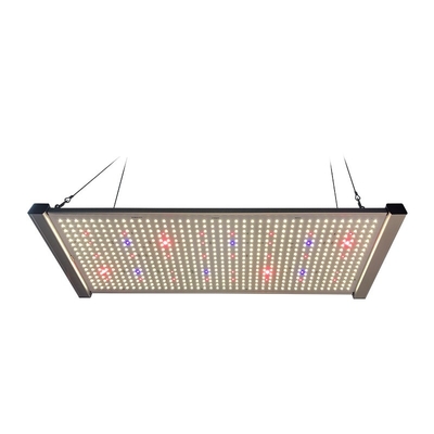 Bảng lượng tử 320W Đèn LED phát triển Quang phổ đầy đủ SEOUL UV 395nm