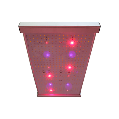 Đèn LED phát triển lượng tử 2x2